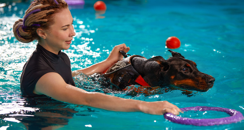 2025.01.21 Hydrotherapy for Pets