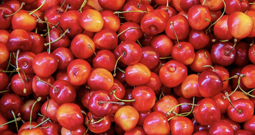 2025.3.10 Phytonutrients